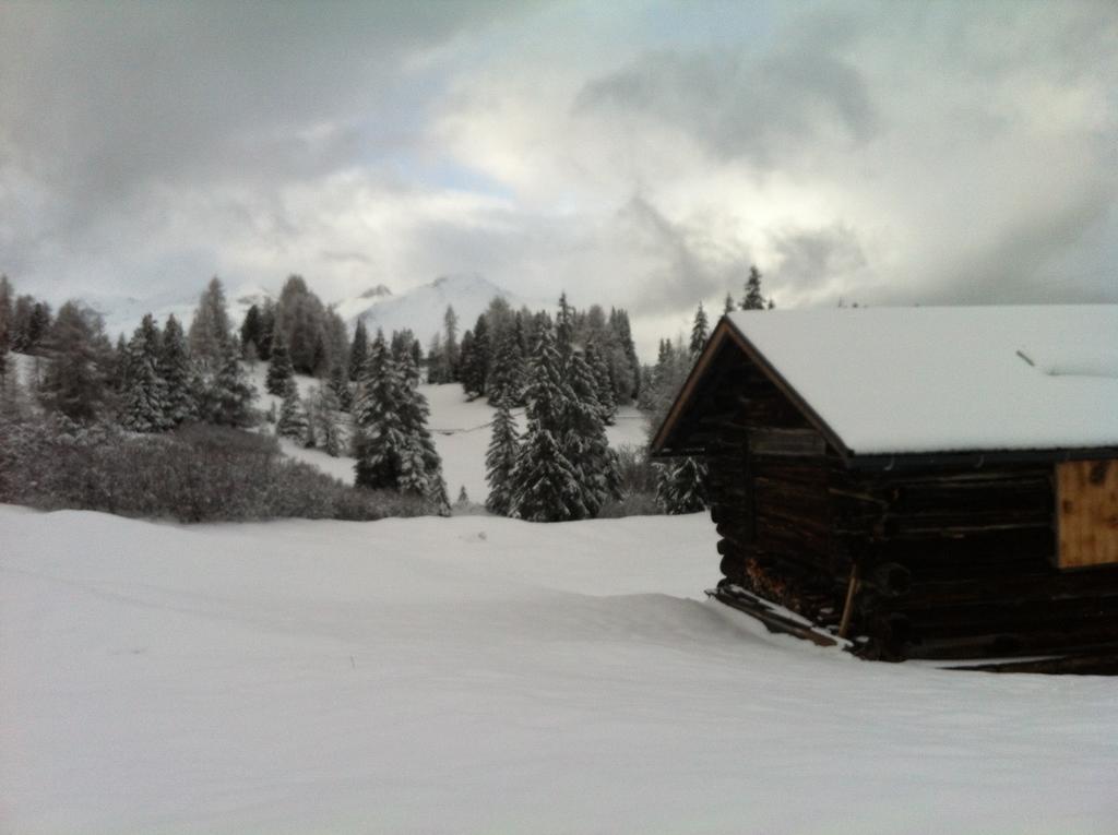 Riatschhof *